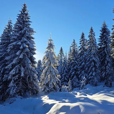 アパート Marzen Zdroj Świeradów-Zdrój
