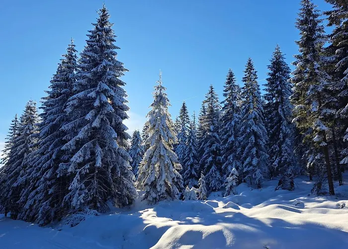 Apartamento Marzen Zdroj Świeradów-Zdrój